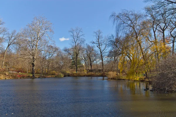 Central Park See mit Bäumen Reflexion — Stockfoto