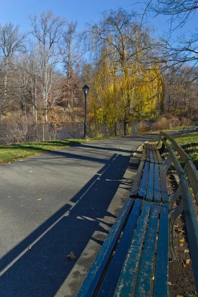 Panchina del parco a Central Park — Foto Stock