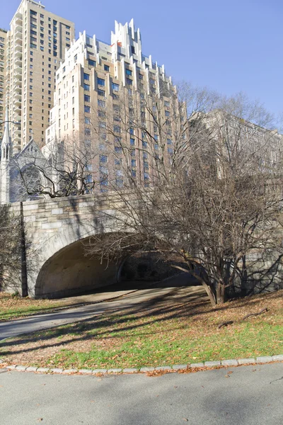 Brug en gebouwen in Central Park — Stockfoto