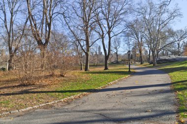 Ağaç ve yürüyüş lanet Central Park'ta