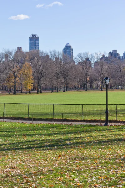 Árvore e poste de lâmpada no Central Park — Fotografia de Stock