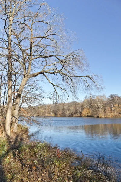 Central Park See — Stockfoto