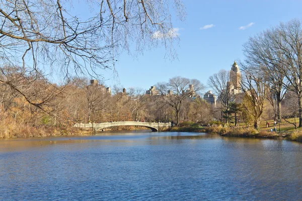 Central Park Lake — Stok fotoğraf