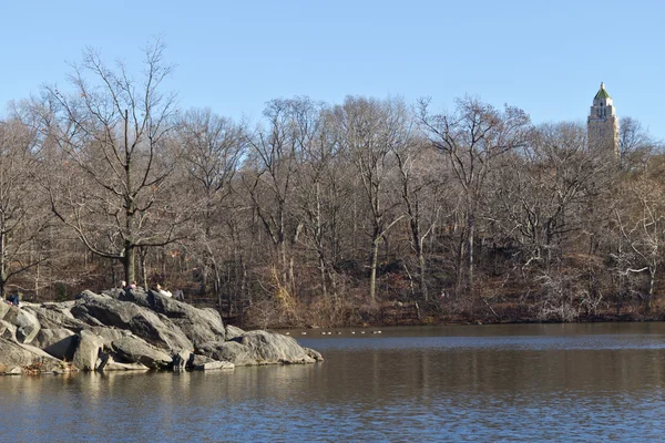 Central Park Lake — Foto Stock