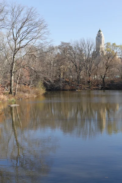 Central Park lago com construção e árvore de reflexão — Fotografia de Stock