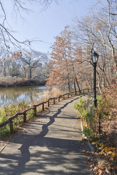 Lac Central Park avec sentier pédestre et reflet d'arbre — Photo