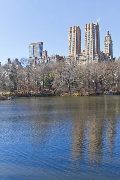 Central Park lake bina ve ağaç yansıması ile — Stok fotoğraf