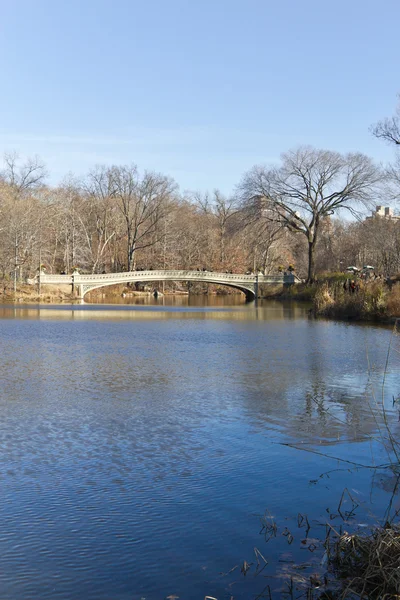 Central Park lago con edificio e albero di riflessione — Foto Stock