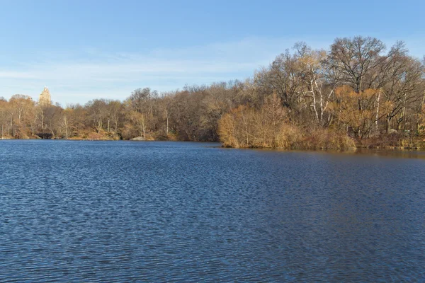 Central Park lake bina ve ağaç yansıması ile — Stok fotoğraf