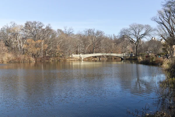 Central Park lago com construção e árvore de reflexão — Fotografia de Stock