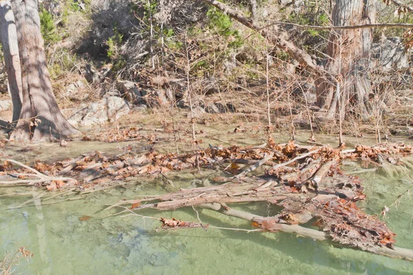 Pequeno rio verde na Hamilton Pool — Fotografia de Stock