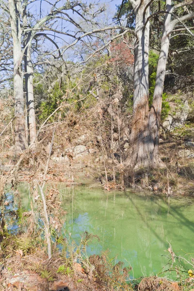 Pequeno rio verde na Hamilton Pool — Fotografia de Stock