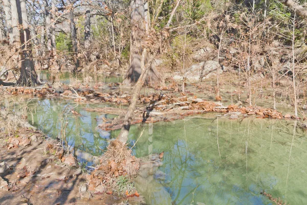 Pequeno rio verde na Hamilton Pool — Fotografia de Stock