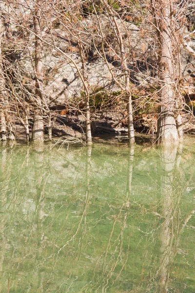 Pequeno rio na Hamilton Pool — Fotografia de Stock