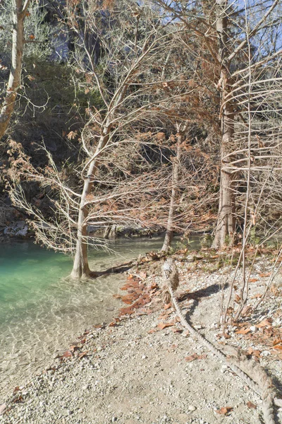 Pequeno rio na Hamilton Pool — Fotografia de Stock