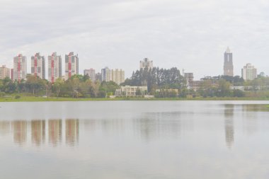 Curitiba 'daki Birigui Parkı, Parana, Brezilya.