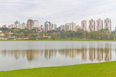 Curitiba 'daki Birigui Parkı, Parana, Brezilya.