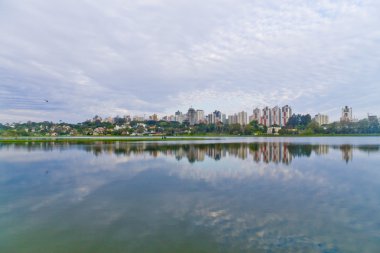 Curitiba 'daki Birigui Parkı, Parana, Brezilya.