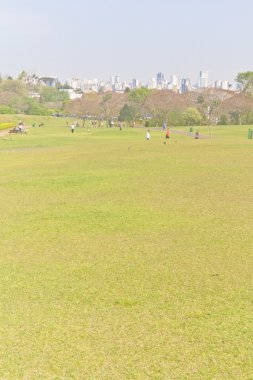 Botanik Bahçesi Curitiba, Parana, Brezilya