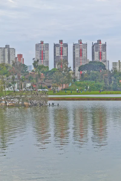 Parc Birigui à Curitiba, Parana, Brésil . — Photo