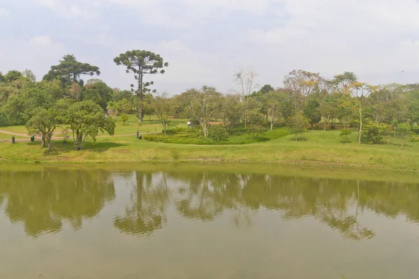 Lago en el Jardín Botánico en Curitiba, Paraná, Brasil — Foto de Stock