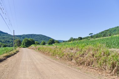 Ülkede yol Nova Petropolis - Rio Grande do Sul - Brezilya