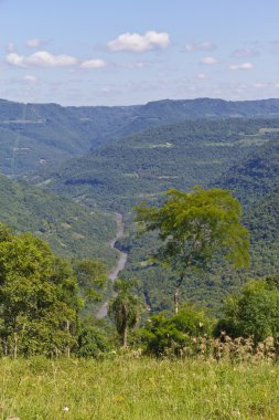 Cai nehir Nova Petropolis - Rio Grande do Sul - Brezilya