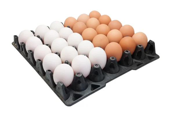Курячі яйця та качині яйця на білому тлі — стокове фото