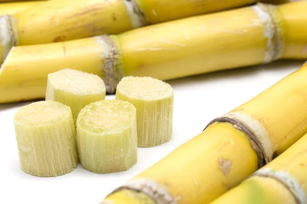 Cana de açúcar e pedaços de cana de açúcar — Fotografia de Stock