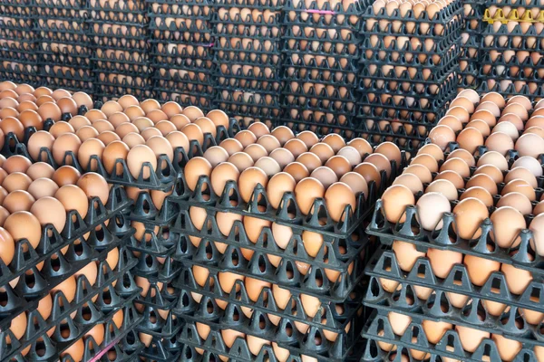 Ovos da fazenda de galinhas no pacote — Fotografia de Stock