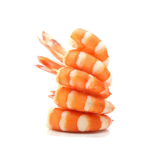 Shrimp isolated on white background — Stock Photo, Image
