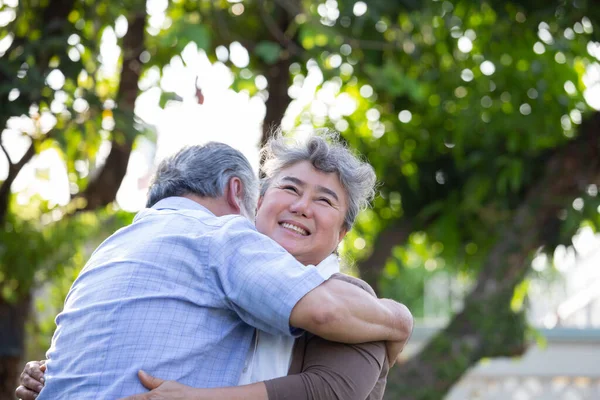 Feliz Pareja Ancianos Del Sudeste Asiático Abrazándose Parque Día Soleado — Foto de Stock