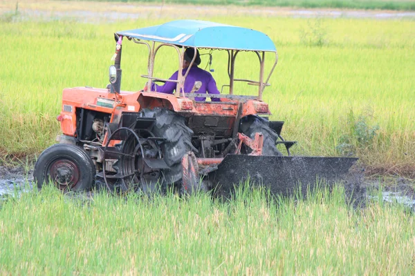 Tracteur labourant une rizière — Photo