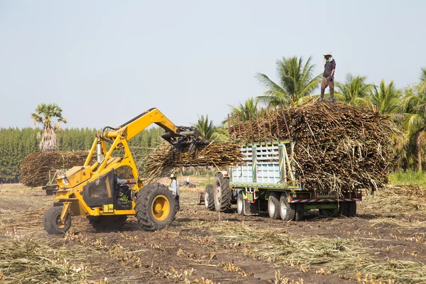 Camion canna da zucchero — Foto Stock