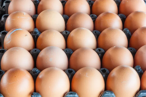 Eggs from chicken farm in the package — Stock Photo, Image