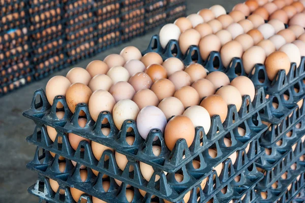 Eier von Hühnerfarm im Paket — Stockfoto