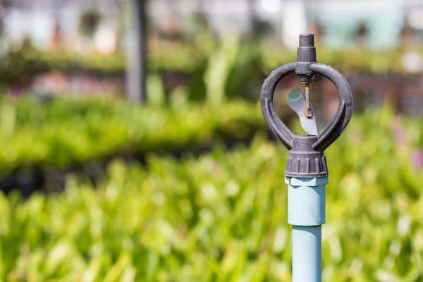 Sproeier in de tuin — Stockfoto