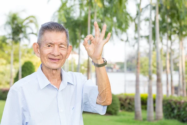 Asiatico anziano uomo indicando OK segno nel parco — Foto Stock