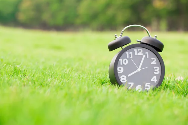 Clock on grass — Stock Photo, Image