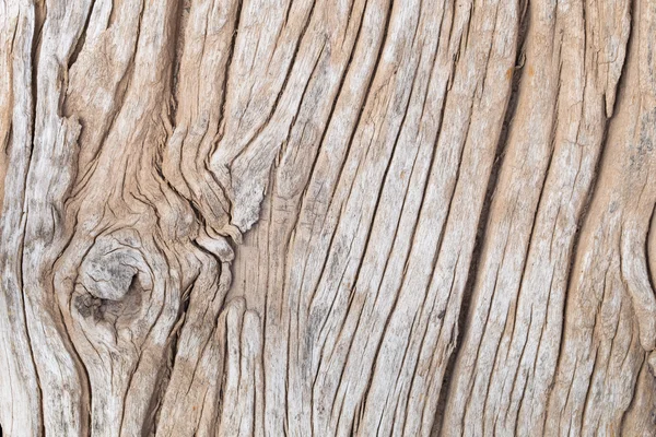 Textura de madeira fundo — Fotografia de Stock