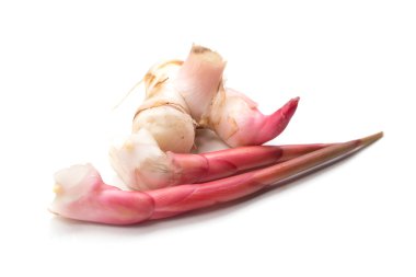 Beyaz arkaplanda Galangal