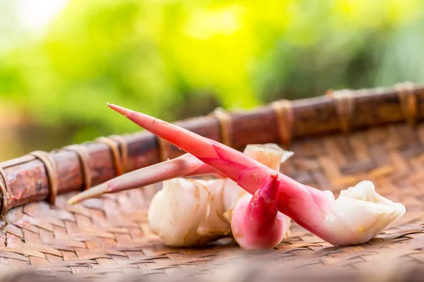 Galangal na superfície de bambu — Fotografia de Stock