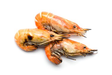 Beyaz arka plan üzerinde ızgara karides