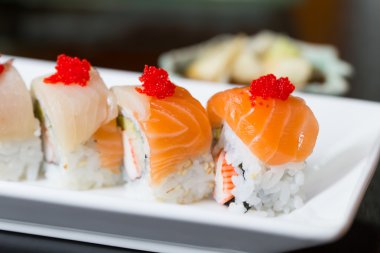Somon suşi roll