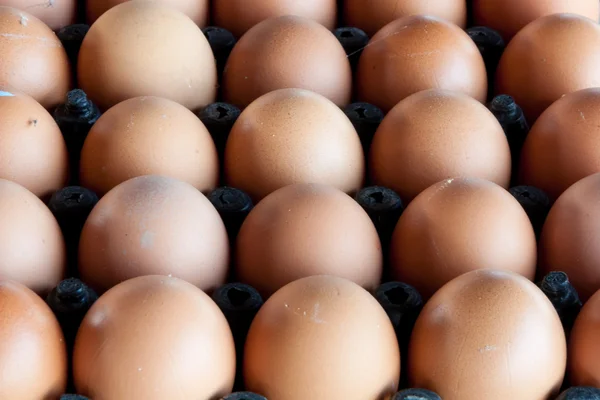 Eggs from chicken farm in the package — Stock Photo, Image