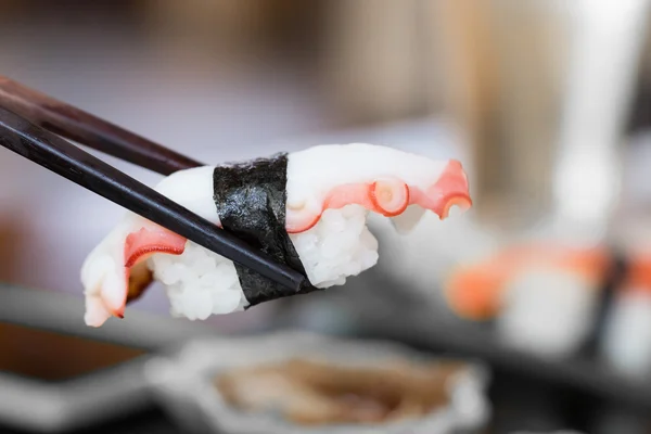 Sushi squido em restaurantes — Fotografia de Stock