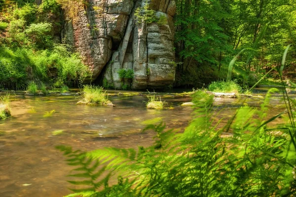 Wild River Kamenice — Stockfoto