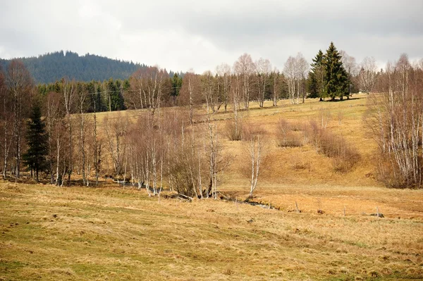 Paisaje de primavera en Sumava — Foto de Stock