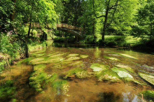 Kamenice flod i sommar — Stockfoto