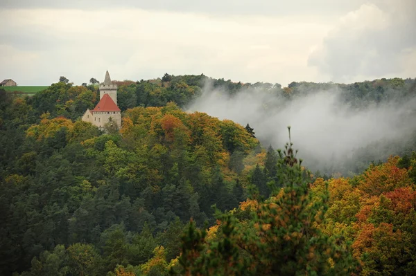 Castillo Kokorin en el bosque —  Fotos de Stock